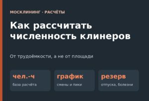 Как рассчитать численность клинеров